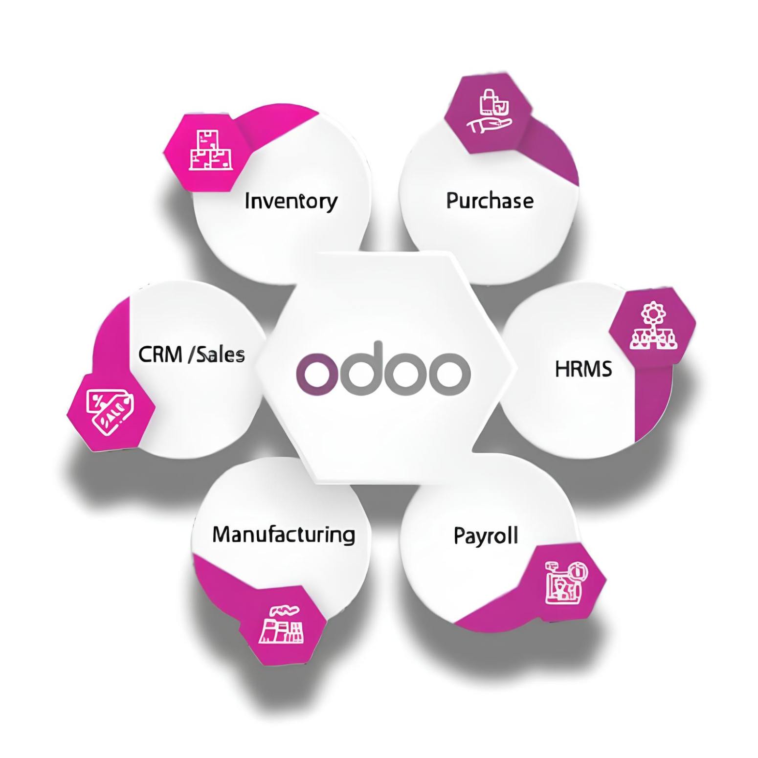 Custom Odoo Module Development Solutions
